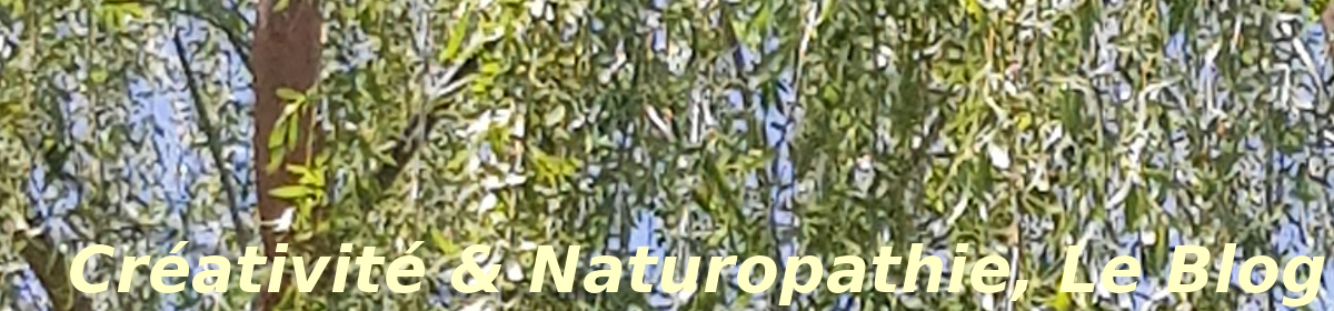 Créativité-Naturopathie, Le Blog