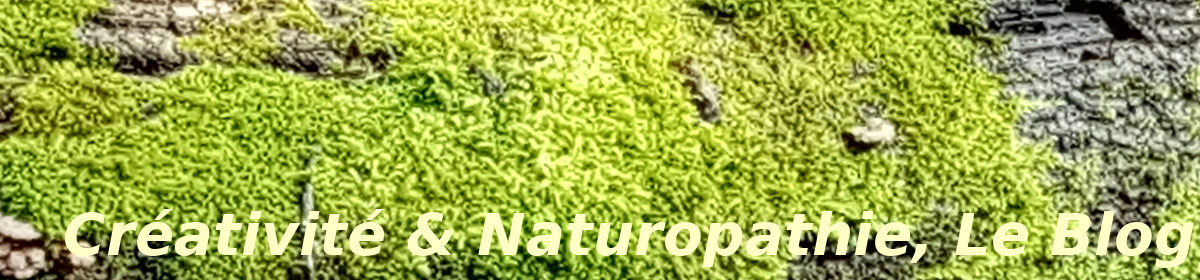 Créativité-Naturopathie, Le Blog